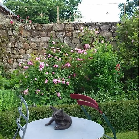 Nocleg ze śniadaniem D'hotes De La Bigottiere 3*